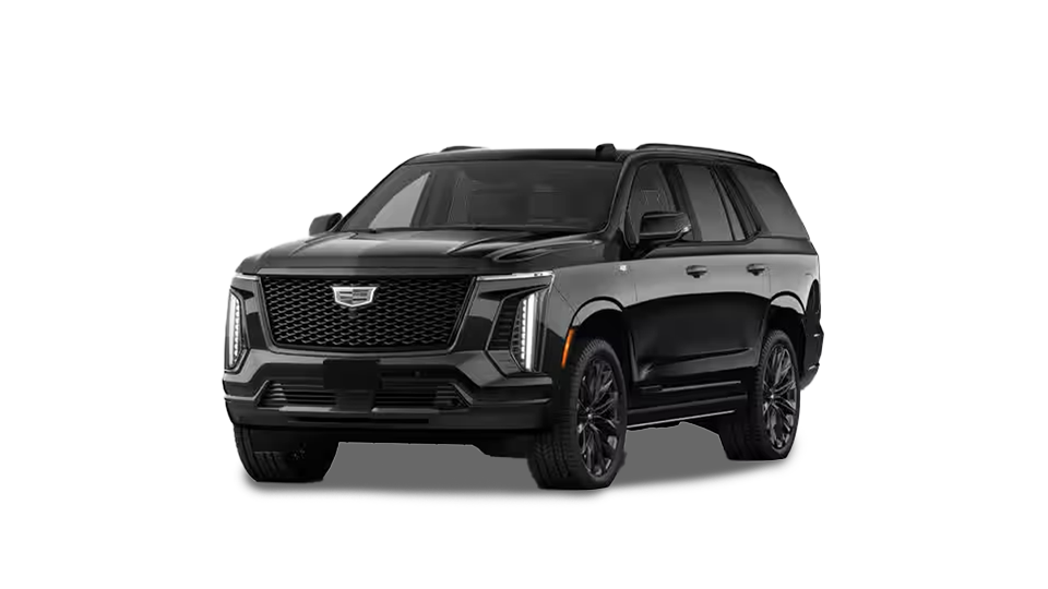 Executive SUV Houston